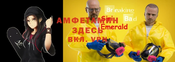 сатива Шилка
