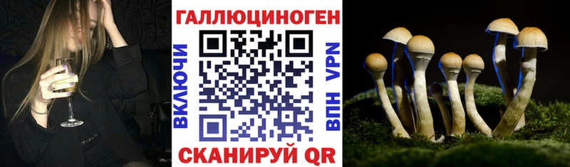 Галлюциногенные грибы Psilocybe  Железногорск 